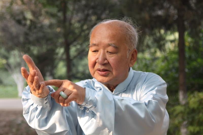 Master Gao Zhuang&nbsp;Fei